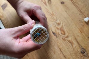 Bienenkönigin wird markiert